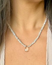 Load image into Gallery viewer, Amethyst & Shell Necklace