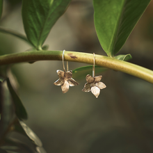 Load image into Gallery viewer, Silver Pua Earrings
